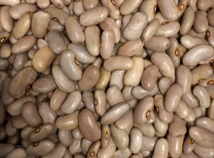 Beansb.rm_