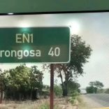 Gorongosa.rm_