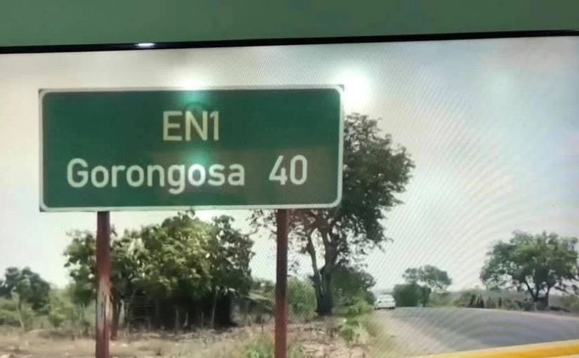 Gorongosa.rm_
