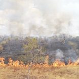Fires.not_