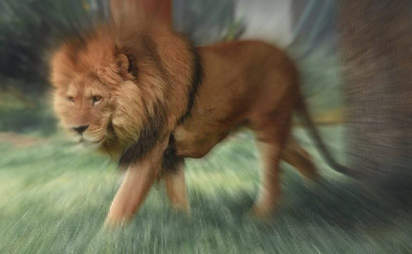 Lionmod.rm_