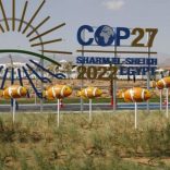 Cop.afp_