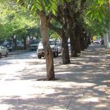 Lusiadas.carta_