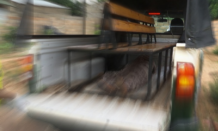 Matolam.op_.op_