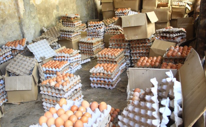 Ikwelii.eggs_.ik_