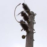 Cablep.tvm_