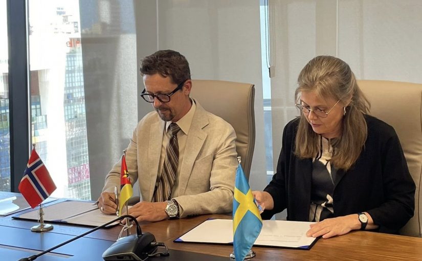 Swedeninmoz.tt_