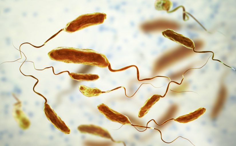 Cholera