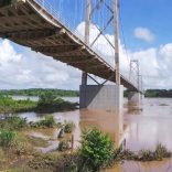 PONTE-