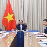 Vietnammmoz.v