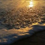 Beachesmoz.fb_