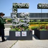 Hiroshimag7.afp_