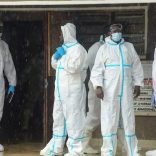 Kenyanautopsies.r