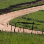 Roades.lusa_