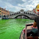 Venicew.r