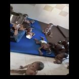 Childrensudan.ap_