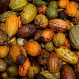 Cocoa.file_.r