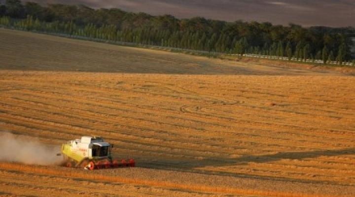 Grain.r