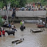 Delhiriv.afp_