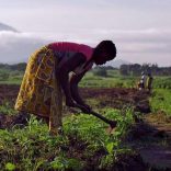 Farmer.technoserve