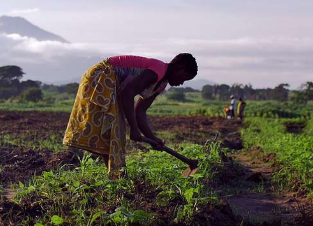 Farmer.technoserve