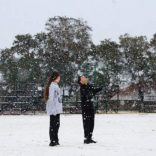 Snowf.r