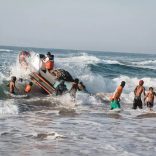 Banp.afp_