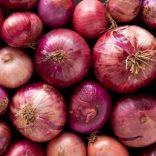 Onions.file_