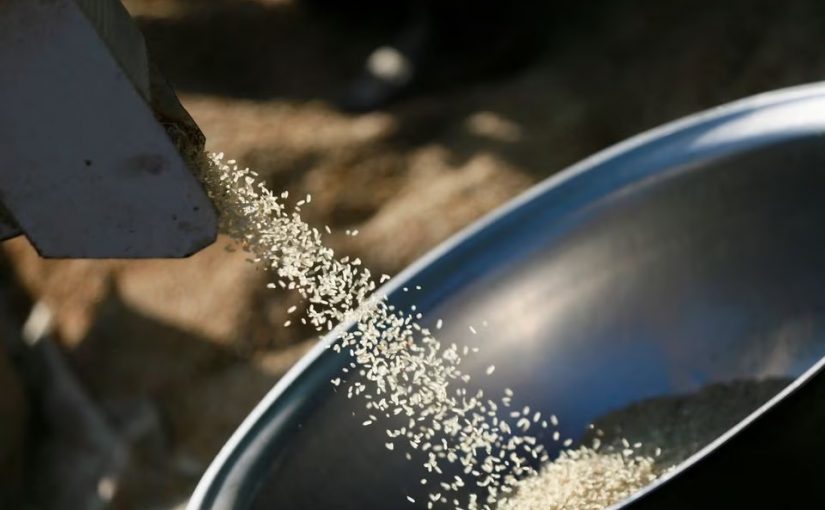 Ricefile.r