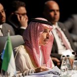 Saudibrics.r