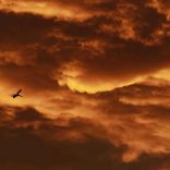 Aviation.lusa_