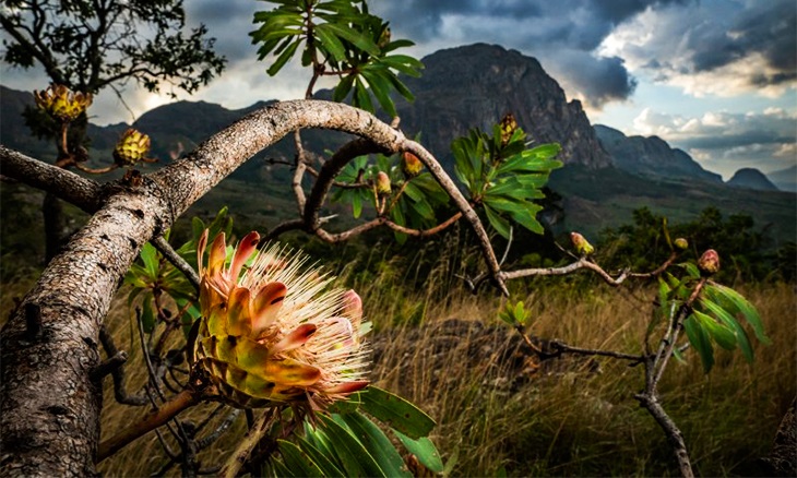 Chimanimani.dom_