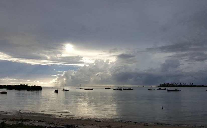 Palmabeach.fb_
