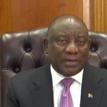 Ramaphosaladybrics.yt_