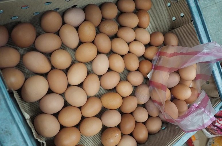 Eggsmaputo.lusa_