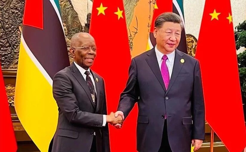 Maleianeadrianochina.dom_