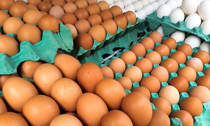 Eggsa.aim_