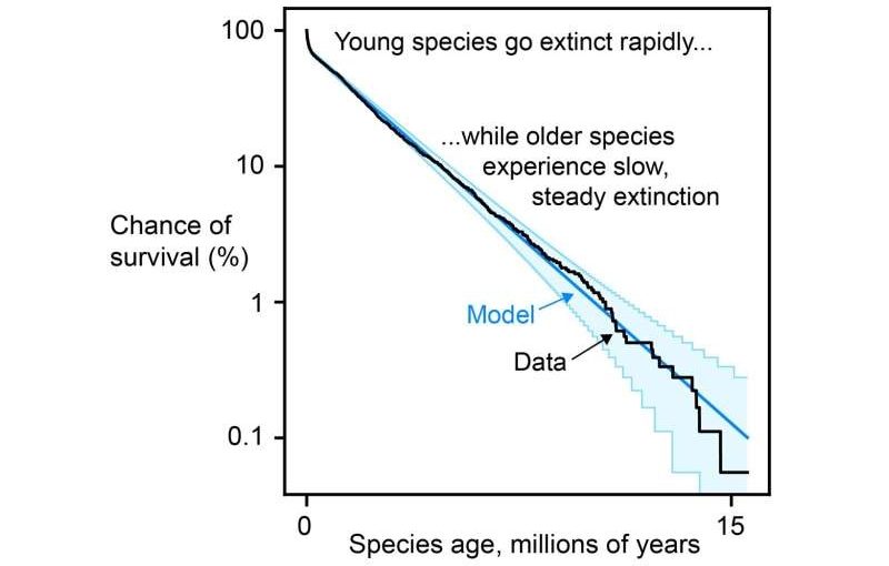 Speciesageing.phys_.org_