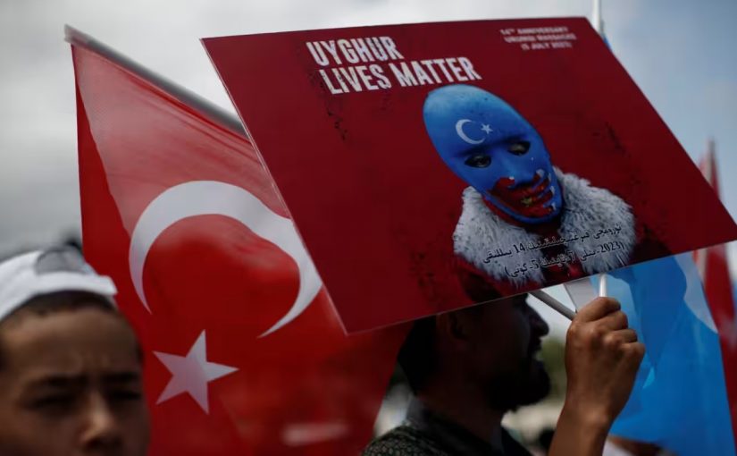 Turkeyprot.r