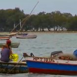 Fisheriesmoz.rtp_