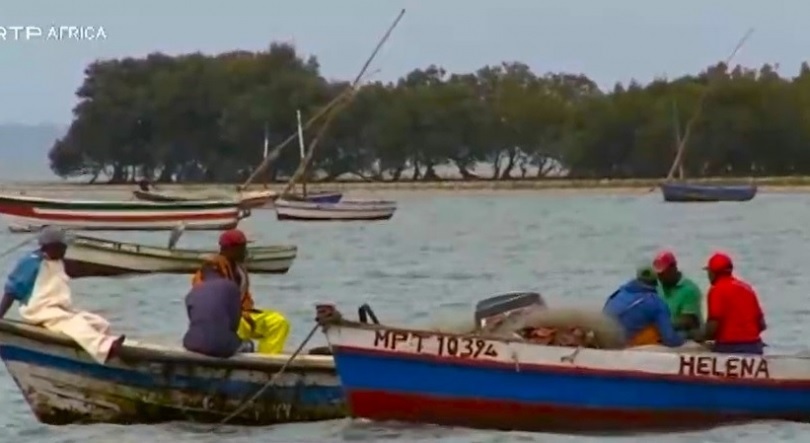 Fisheriesmoz.rtp_
