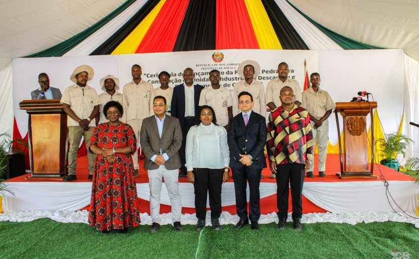Sofala-Robust-International-investe-mais-de-30-milhoes-para-construcao-de-Unidade-de-Processamento-de-Gergelim