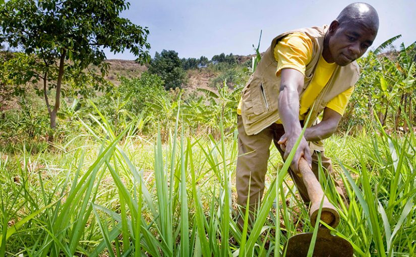 Top_10_sectors_invest_Mozambique