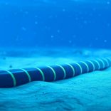 Cablesubsea.file_