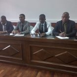 Professores-2