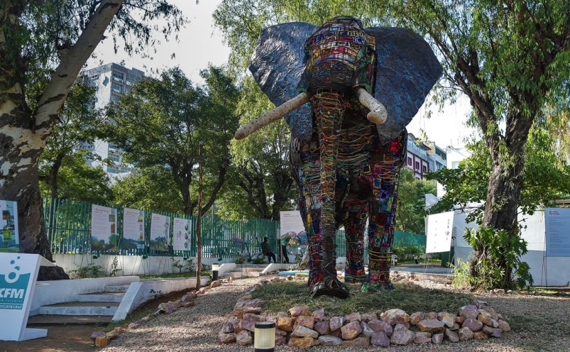 Madalael.lusa_.lusa-lusa