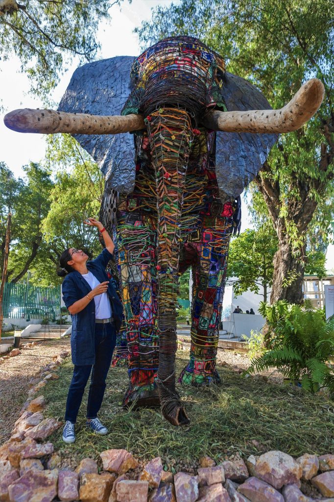 Madalael.lusa_.lusa_