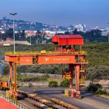 Transnetsa.afdb_