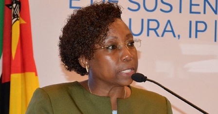 PCA-da-AURAS-Susana-Loforte