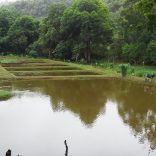 Aquaculture.dw_